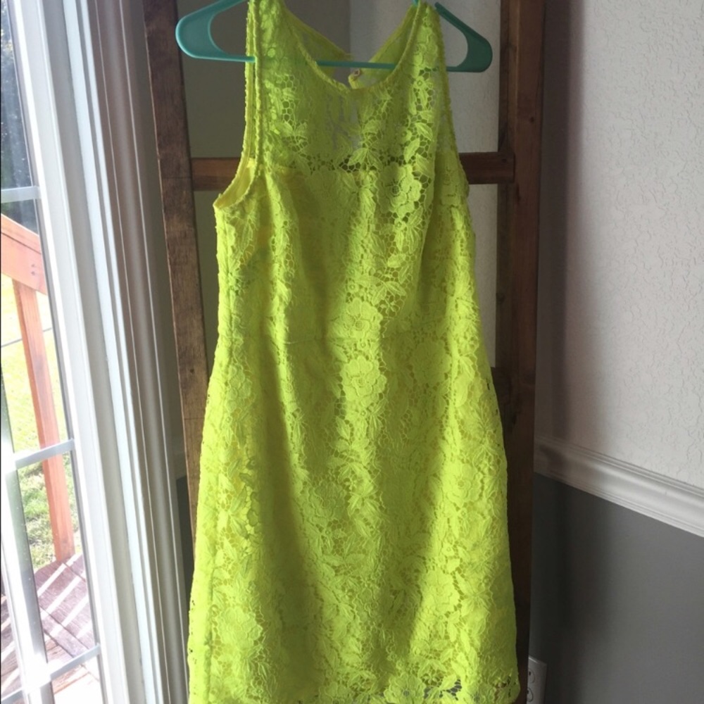 J. Crew Collection Lace Dress